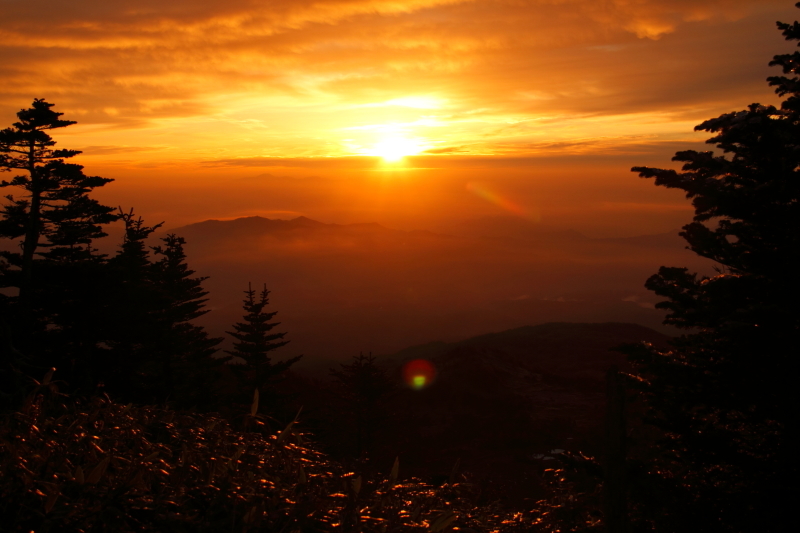 d0342449_00165274.jpg