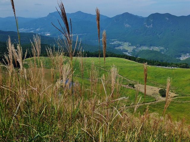 d0048350_09131629.jpg