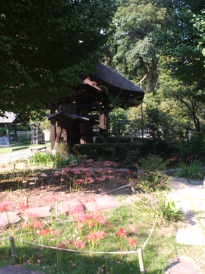 f0096666_18592248.jpg