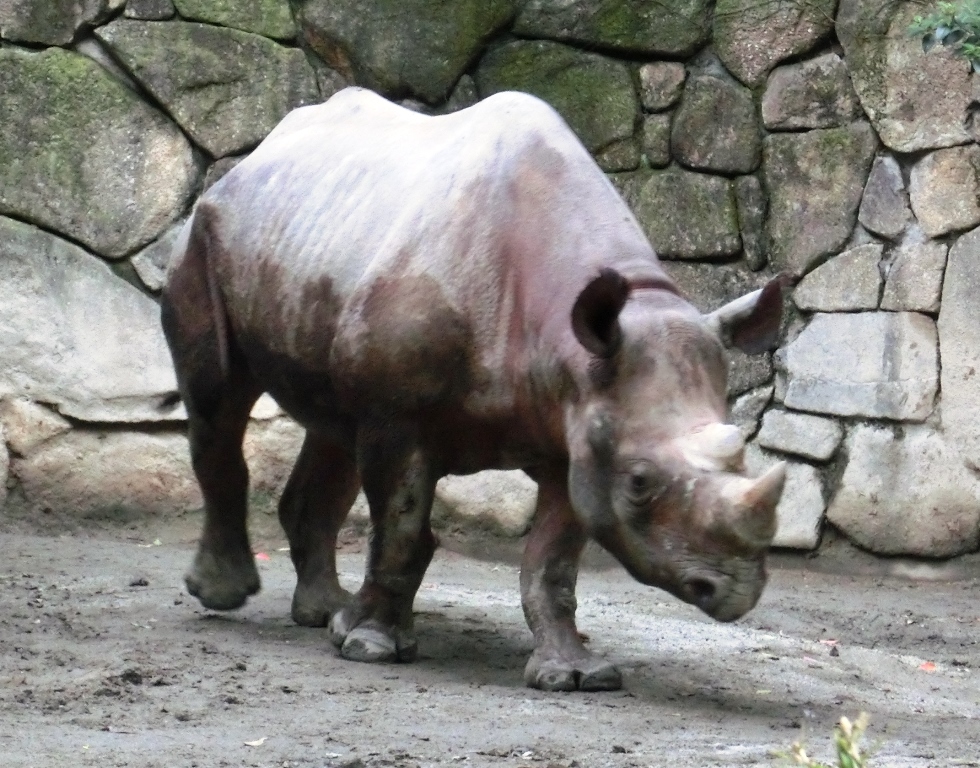 e0266067_12383011.jpg