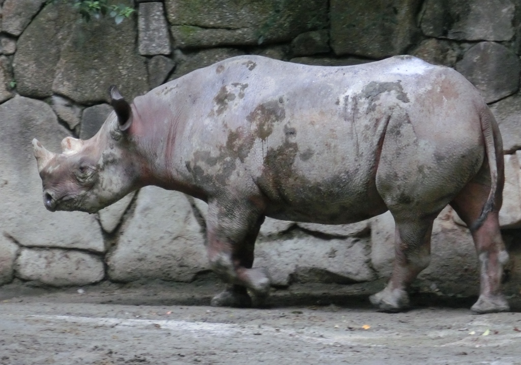 e0266067_12384020.jpg