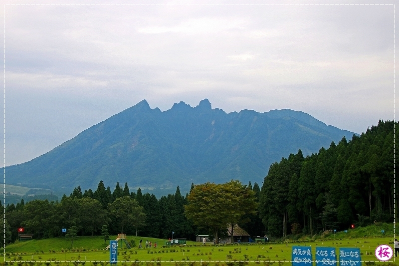 d0102968_06113984.jpg