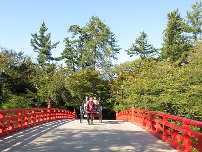 弘前公園観光人力車②*車夫編_d0131668_1011327.jpg