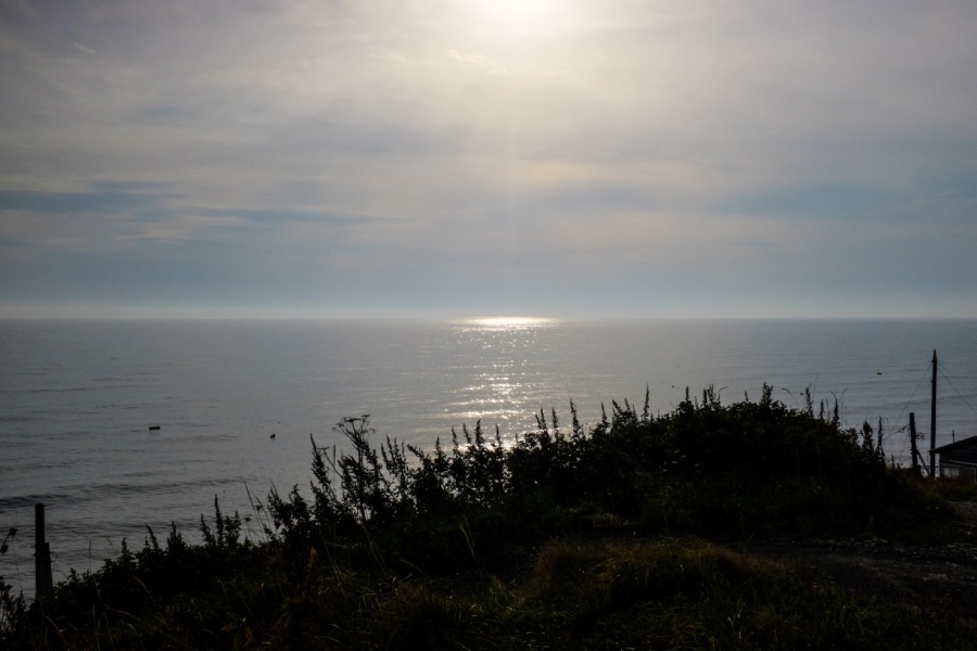 f0167379_19383371.jpg