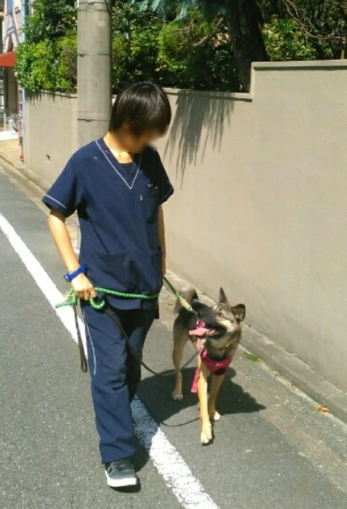 トレーニングブログ_f0357682_20103043.jpg