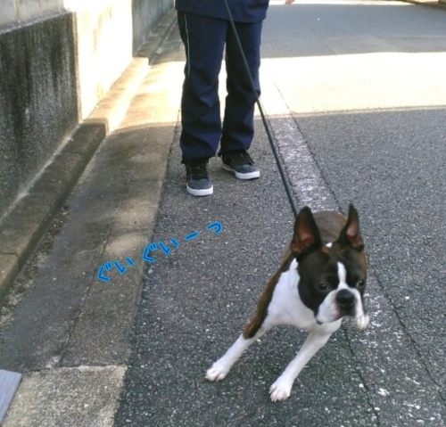 トレーニングブログ_f0357682_20103567.jpg