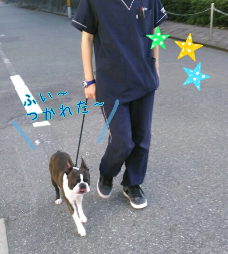 トレーニングブログ_f0357682_20104976.jpg