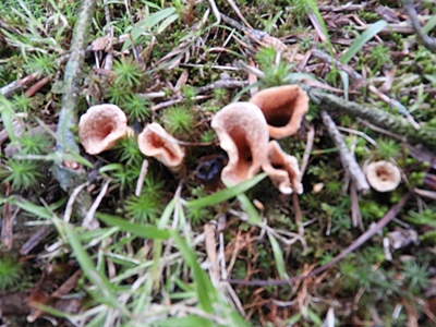 f0357487_03019.jpg