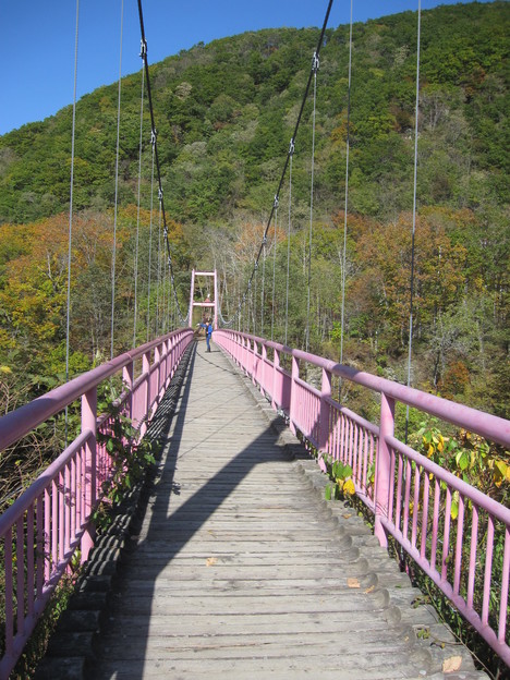 c0171889_15332548.jpg