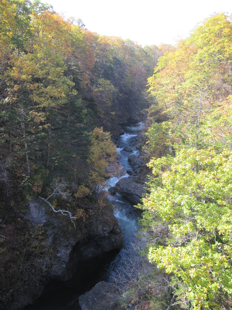 c0171889_15341148.jpg
