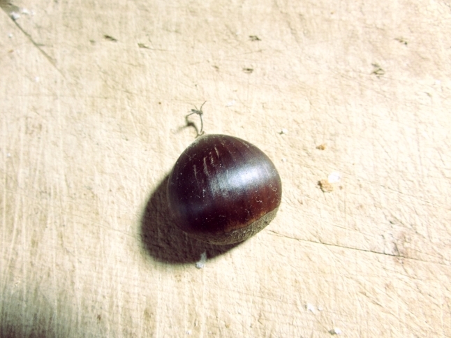 c0335990_12565972.jpg