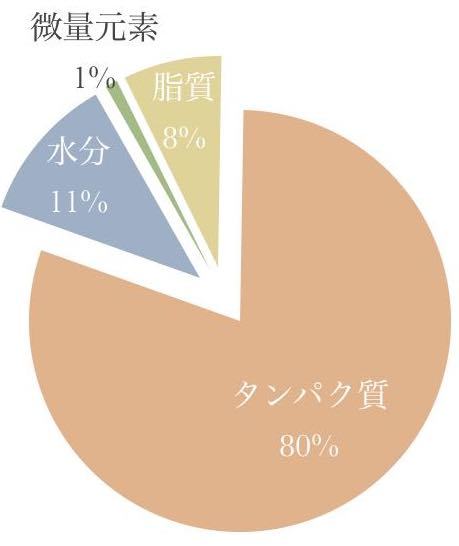 髪には油(オイル)?脂(オイル)? 高円寺の美容室envie_f0216597_13303324.jpg