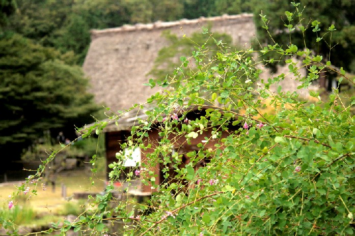 d0140806_9443110.jpg