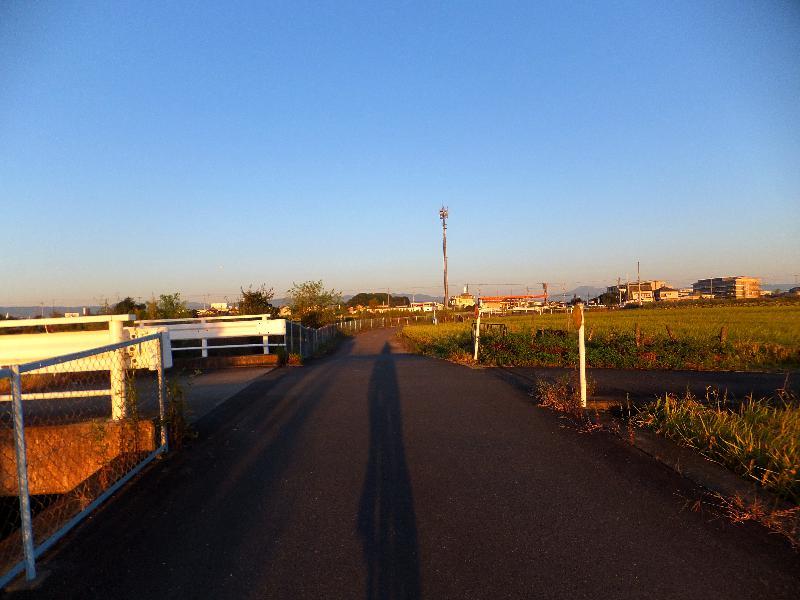 b0000209_19142824.jpg