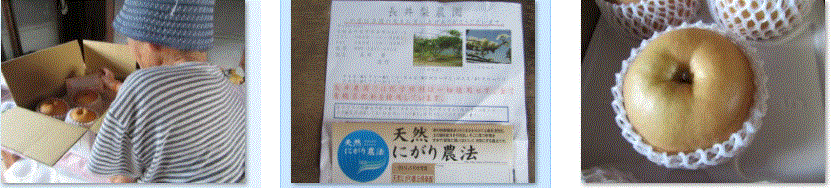 f0231709_01063791.gif
