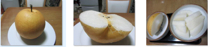 f0231709_01363335.gif