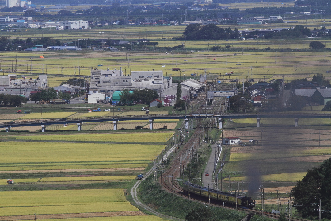 庄内平野は稲刈りの日 - 2017年・羽越線 -_b0190710_22575933.jpg