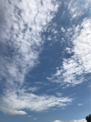 e0034013_15321361.jpg