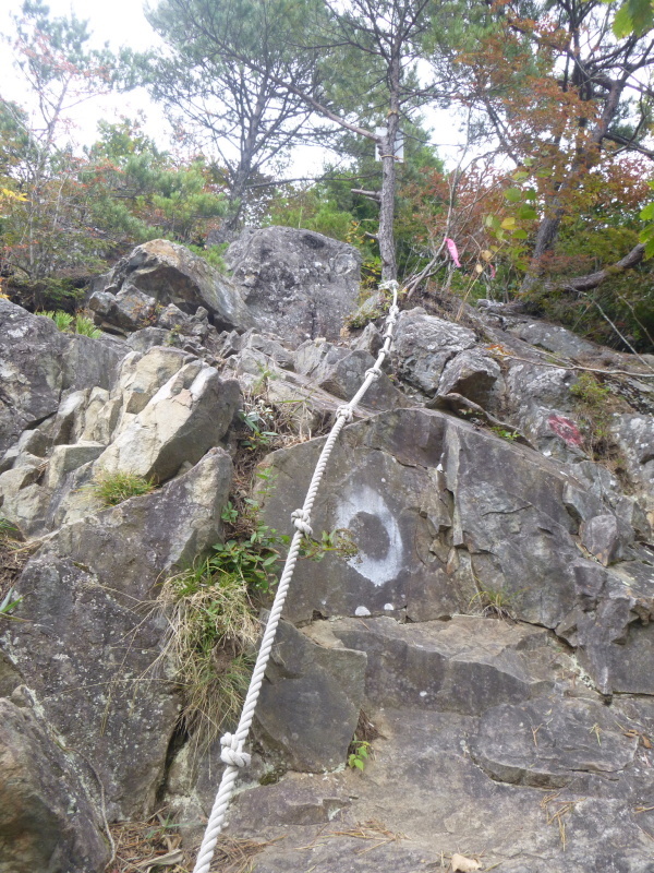 長野県川上村に聳える　天狗山 (1,881.9M) 　登頂 編_d0170615_20581255.jpg