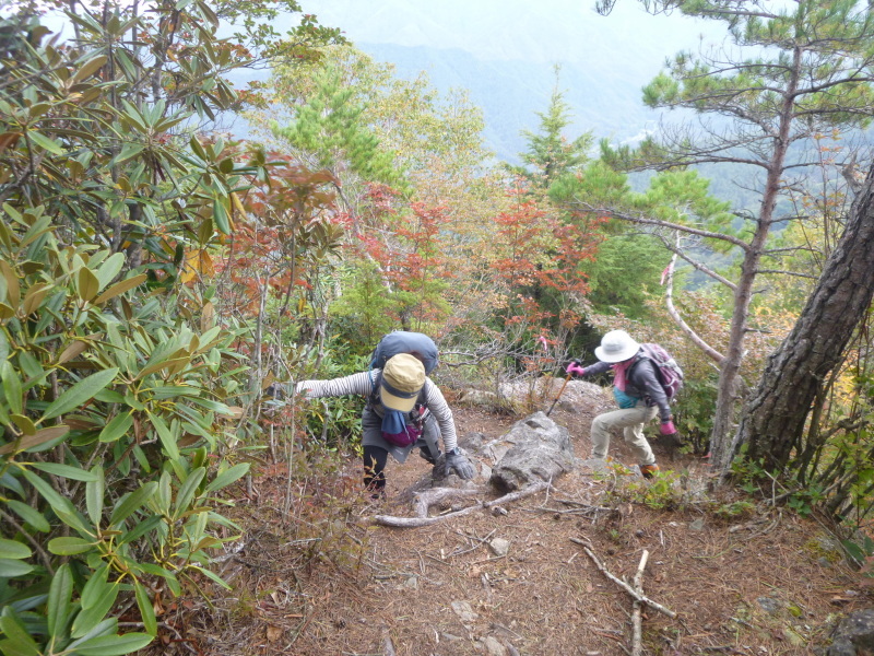 長野県川上村に聳える　天狗山 (1,881.9M) 　登頂 編_d0170615_20583149.jpg