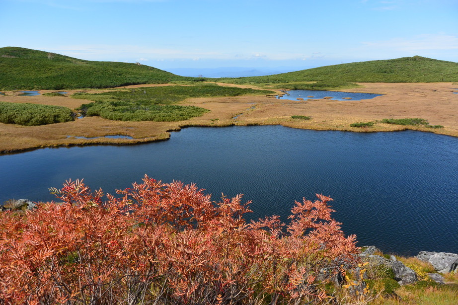 2017年9月 『今年の大雪山の紅葉』 September 2017 \"Autumn color in Dasetsu Mountains, Hokkaido\"_c0219616_09324763.jpg