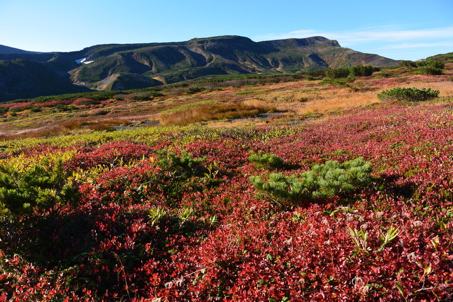 2017年9月 『今年の大雪山の紅葉』 September 2017 \"Autumn color in Dasetsu Mountains, Hokkaido\"_c0219616_09393222.jpg