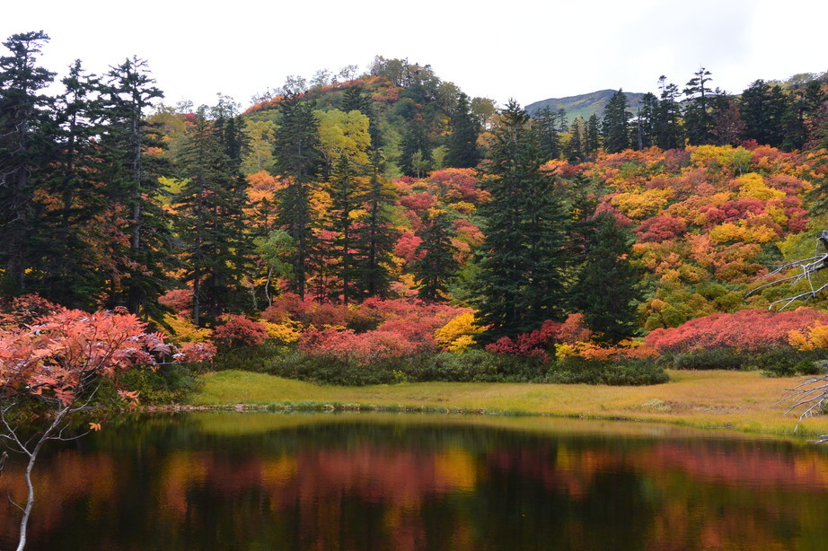2017年9月 『今年の大雪山の紅葉』 September 2017 \"Autumn color in Dasetsu Mountains, Hokkaido\"_c0219616_09393309.jpg