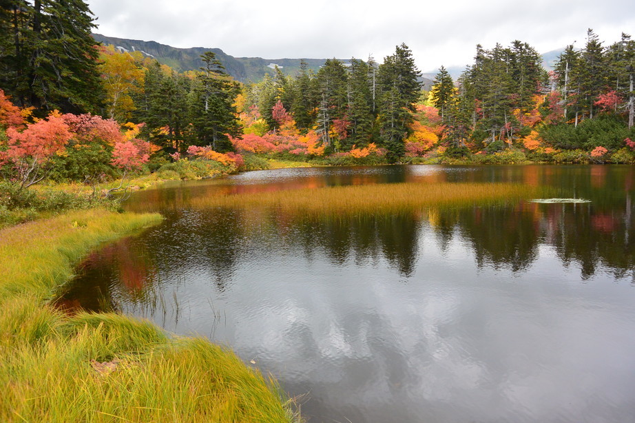 2017年9月 『今年の大雪山の紅葉』 September 2017 \"Autumn color in Dasetsu Mountains, Hokkaido\"_c0219616_09393335.jpg