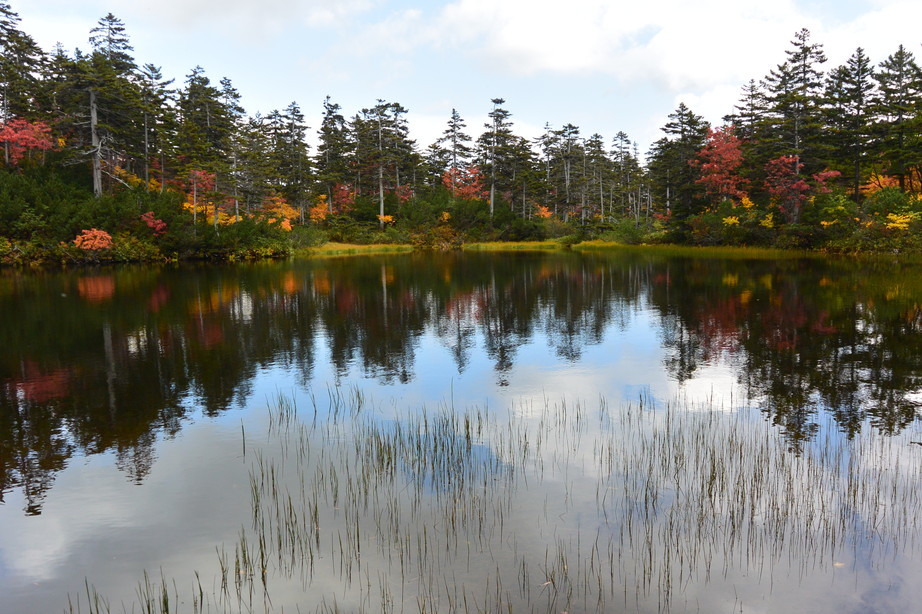 2017年9月 『今年の大雪山の紅葉』 September 2017 \"Autumn color in Dasetsu Mountains, Hokkaido\"_c0219616_09393344.jpg