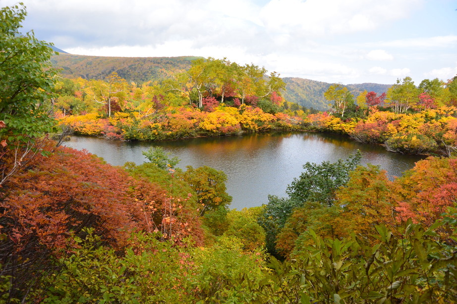 2017年9月 『今年の大雪山の紅葉』 September 2017 \"Autumn color in Dasetsu Mountains, Hokkaido\"_c0219616_09393429.jpg