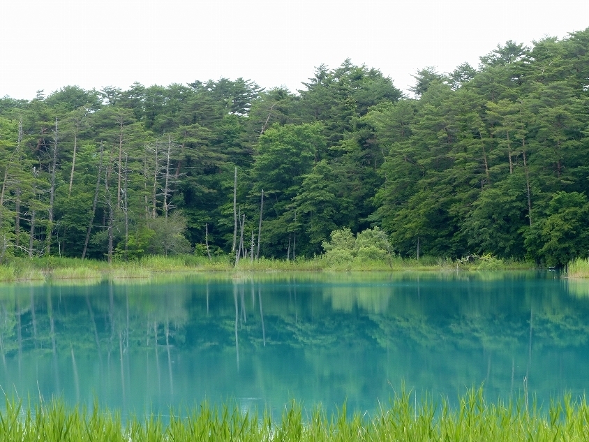 小雨に煙る青沼のほとり_b0338222_16534893.jpg