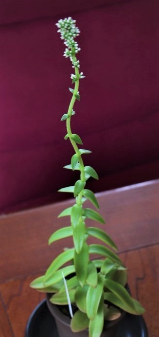 f0354923_07140395.jpg