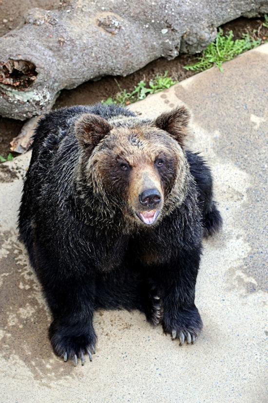 f0224624_06083533.jpg