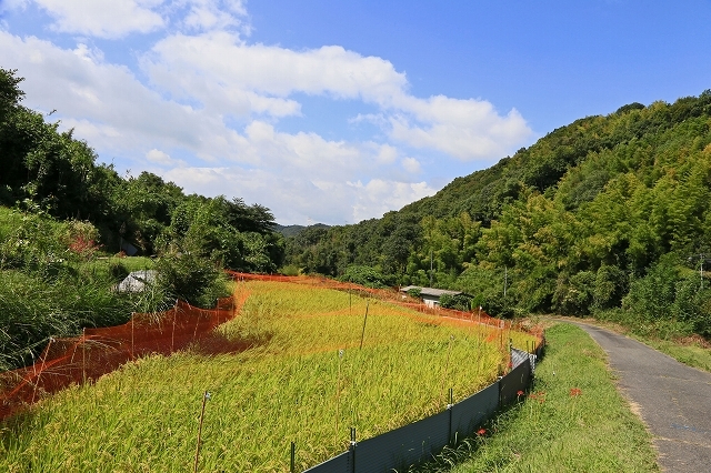 a0242438_22072612.jpg