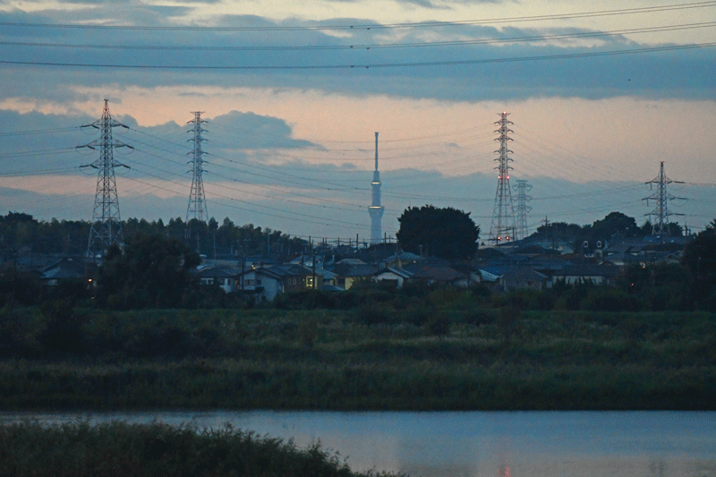 d0290240_13253698.gif
