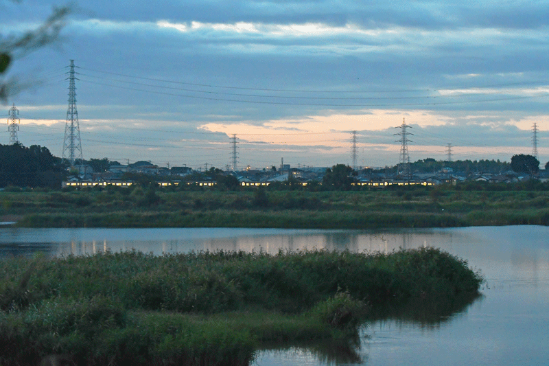 d0290240_13264200.gif