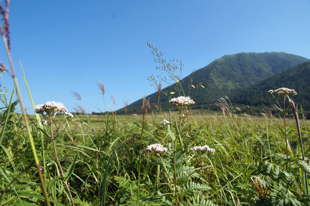 f0214649_04084868.jpg