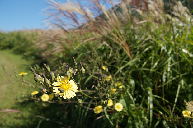 f0214649_04165455.jpg