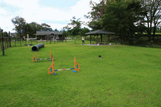 c0145250_11120755.gif