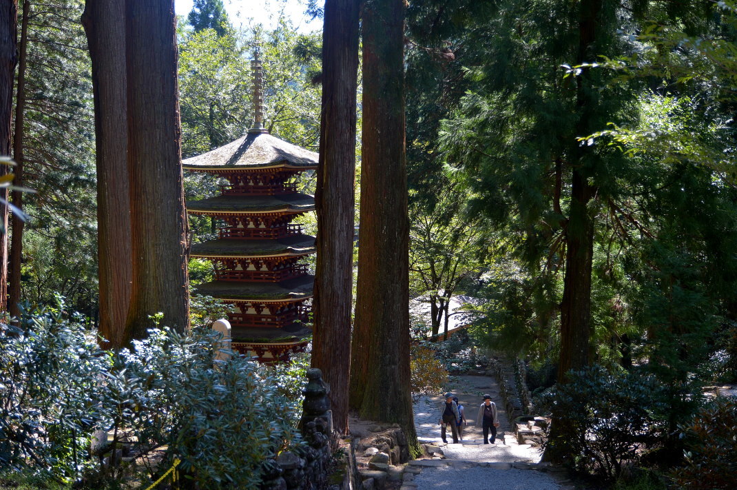 d0090161_17401864.jpg