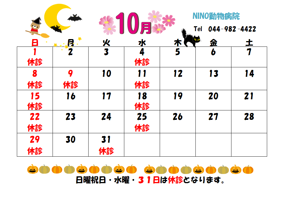 10月の診療日のお知らせ☆_e0288670_15034102.png