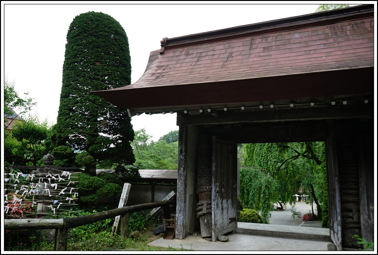 玉泉寺 -1_b0340572_20304691.jpg