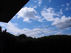 f0101679_73436.jpg