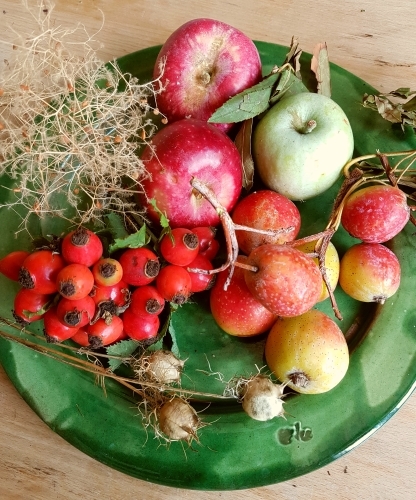 古代種の果実のお祭り~イタリアの消え行く果物たち~@ Pennabilli _f0322790_21250252.jpg