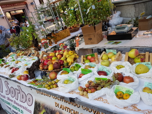 古代種の果実のお祭り~イタリアの消え行く果物たち~@ Pennabilli _f0322790_21595197.jpg