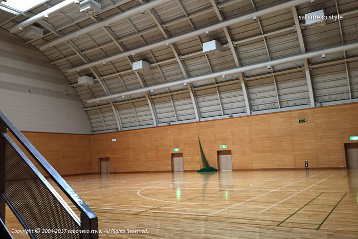 城下町を駆け抜けろ！第1回松本マラソン_b0029706_17161503.jpg