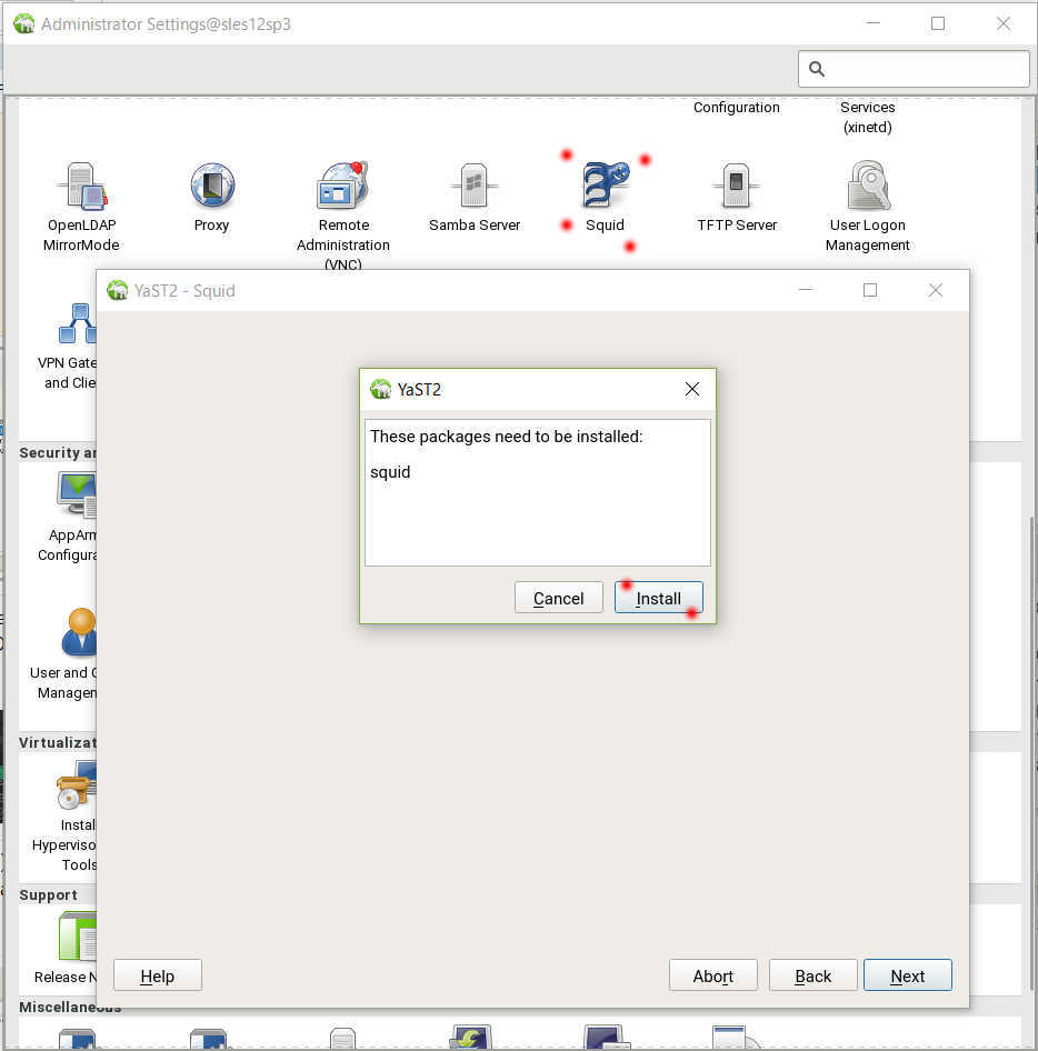 SUSE Linux 12 (SLES12 sp3) で YaST から Squid3 を導入、設定_a0056607_12261181.jpg