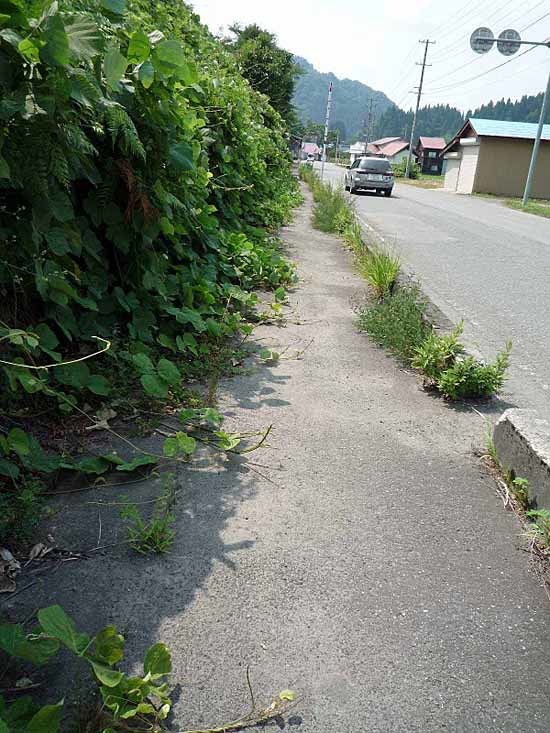c0009413_23511195.jpg