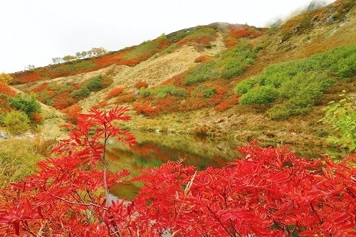 奥又白池、紅葉散策。(その②)_a0353718_14535946.jpg