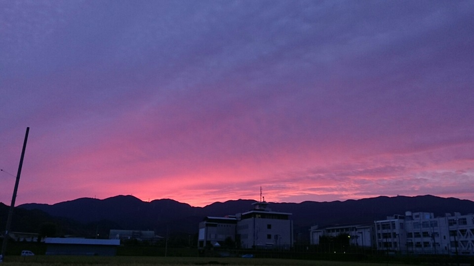 f0228619_2355341.jpg